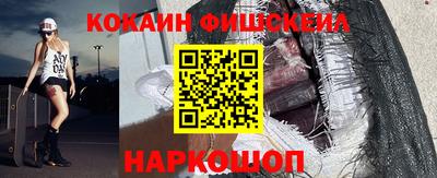 бошки Кингисепп