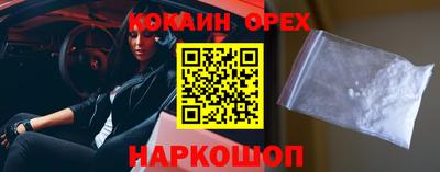бошки Кингисепп