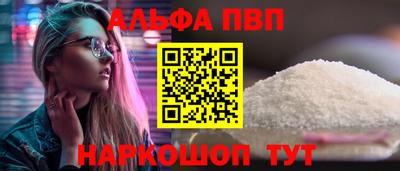 бошки Кингисепп