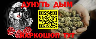 бошки Кингисепп