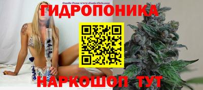 эйфоретик Кинель