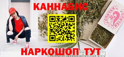 бошки Кингисепп