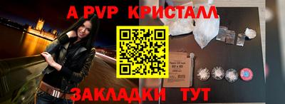 бошки Кингисепп